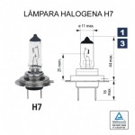 Lámpara Halógena H-7 12V 55W (Px26d)